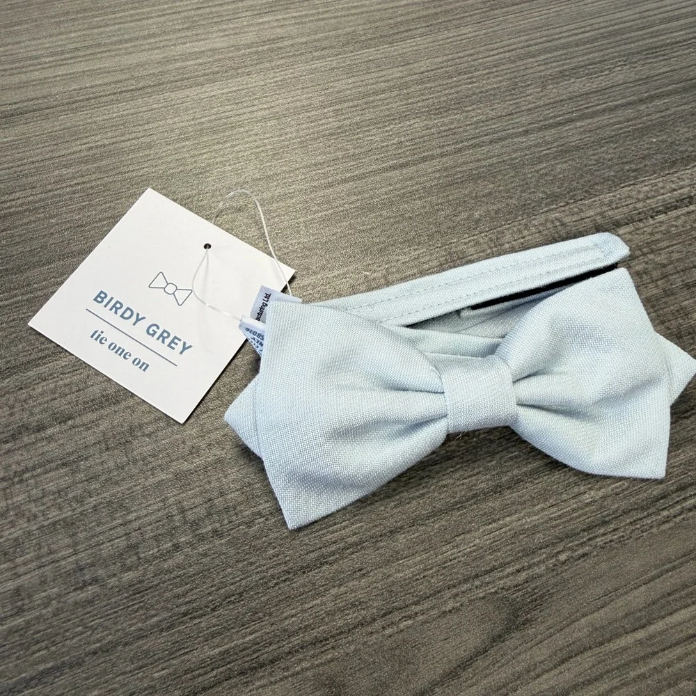 Birdy Grey Kids Pale Blue Bow Tie